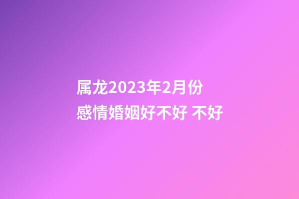 属龙2023年2月份感情婚姻好不好 不好